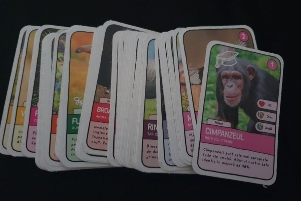 Cartonase jucarii expeditie in jurul lumii 2 colectie mega image 2025