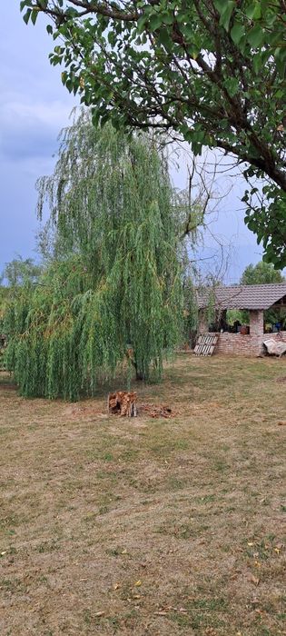 Teren cu casă de vacanță