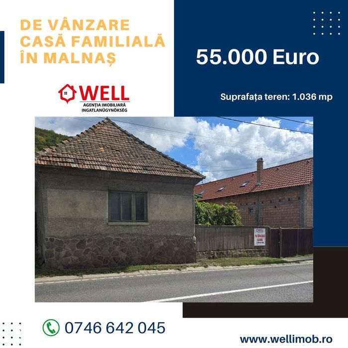 De vânzare casă familială în Malnaș