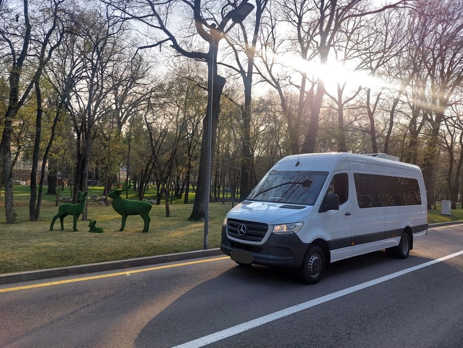 Аренда, заказ, прокат, пассажирские перевозки на Мерседес Спринтер!!!