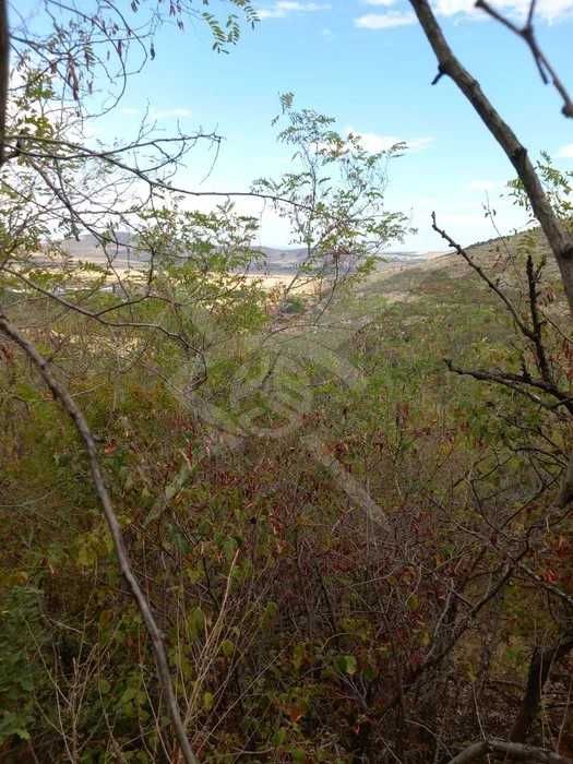 Парцел в с.Козарско! 92590