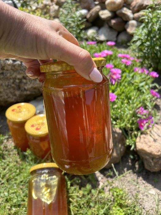 Предлагам Натурален пчелен Мед