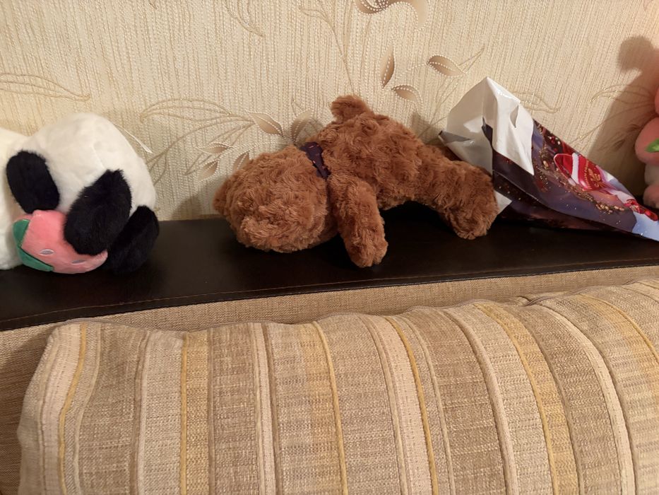 Продам диван , срочно