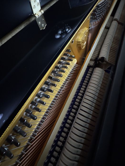 Фортепиано THOMAS. Новое.