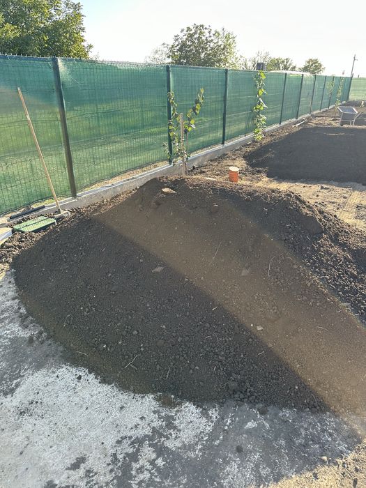 Pamant negru pentru gazon