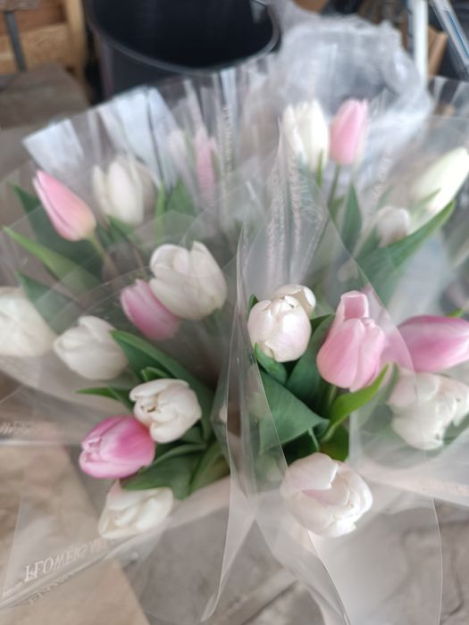 Тюльпаны к 8 марта и 14 февраля.