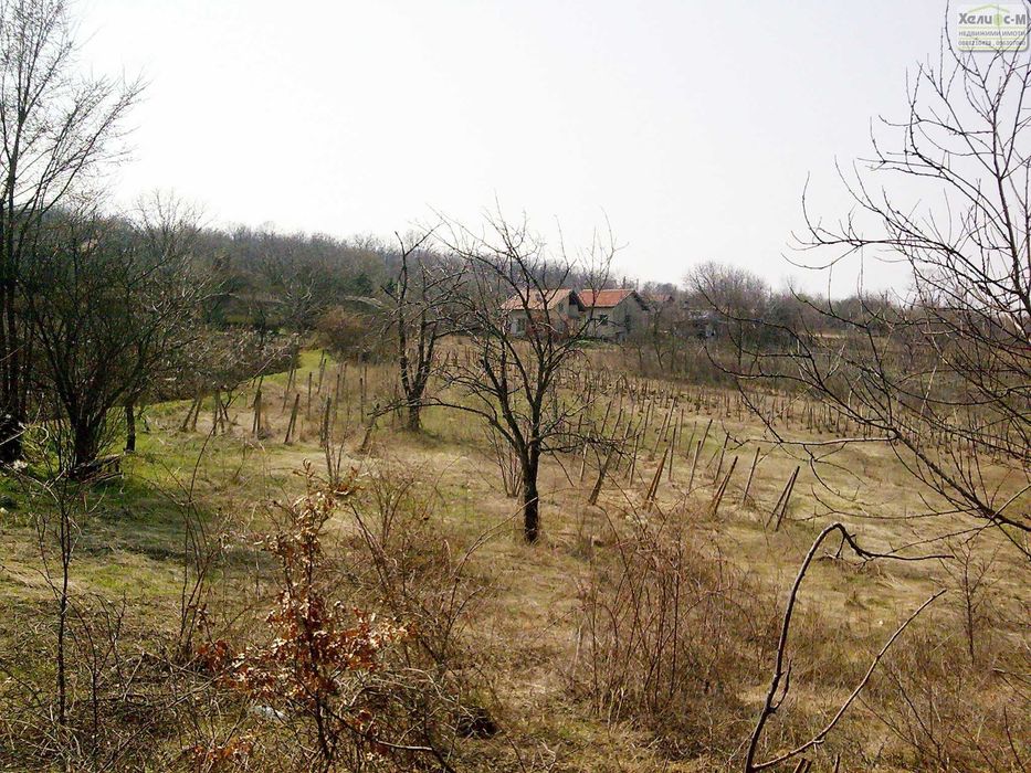 Продава се Парцел в Монтана, Парта 1 - 3720 кв.м за 6 €/кв.м - Снимка #6