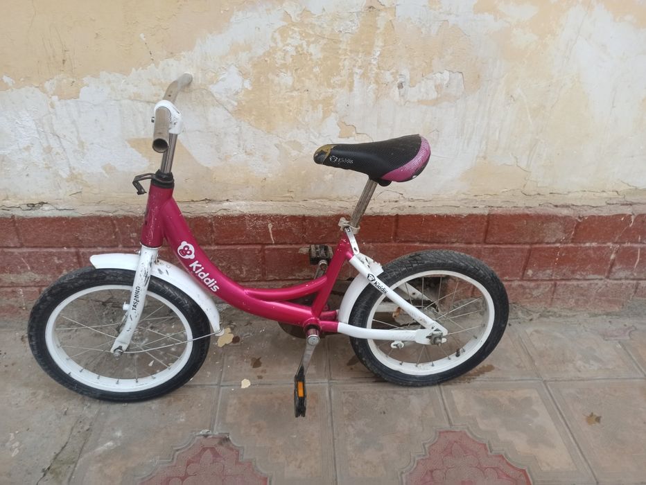 Velik bor yosh bolalarga