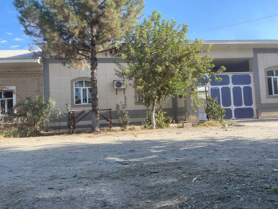 Srochno Xovli sotiladi Qosim shayx oldida