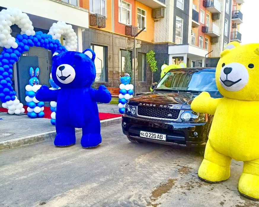 Raddomga Ayiq Teddiy quyon 150.000 so’mdan