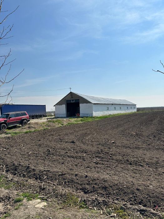 Inchiriez hale depozitare sau teren pt peco la 20 km de Braila