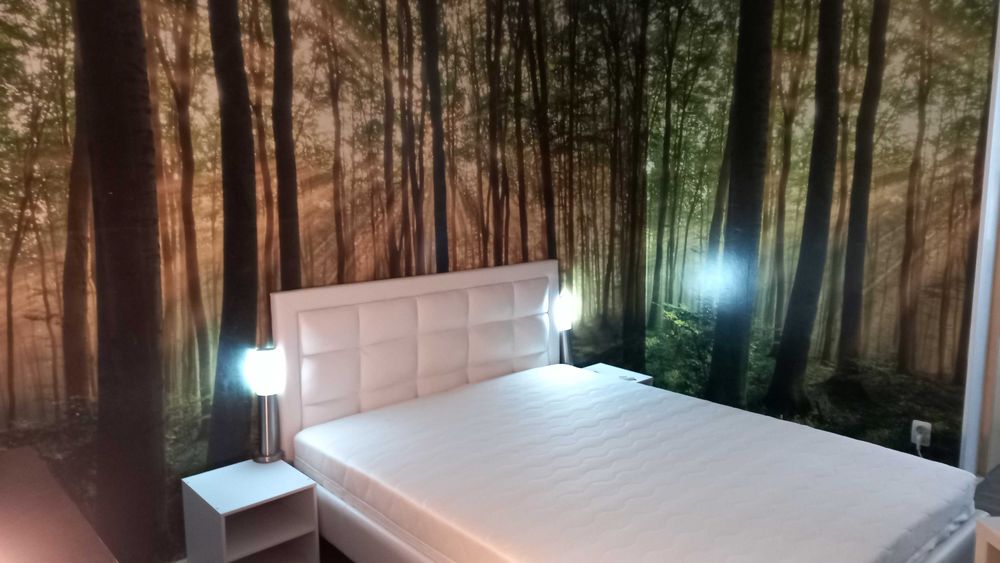 Închiriere garsonieră