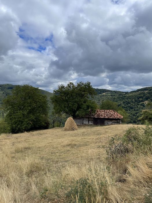 Vand teren, casa si grajd lemn Damis