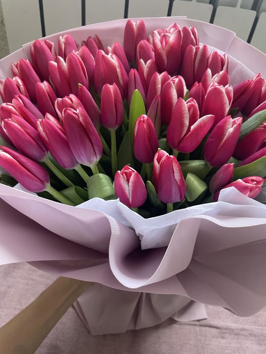 Тюльпан. Свежий.