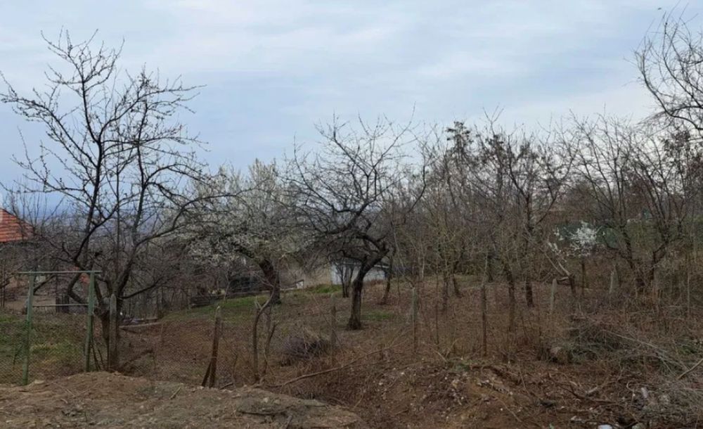 ТОП парцел в с. Брестник