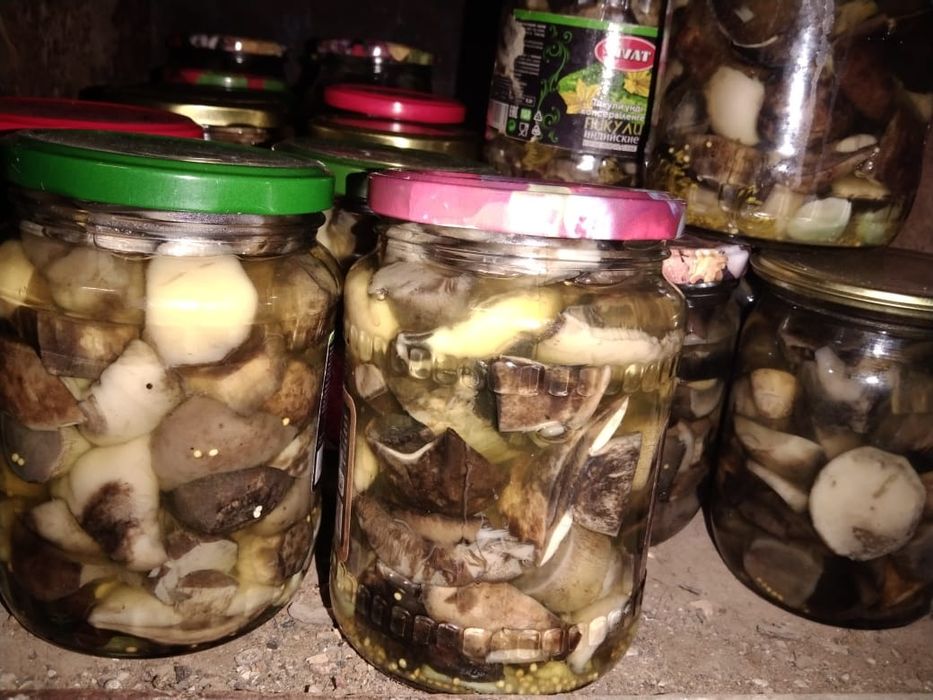 Маринованные белые грибы
