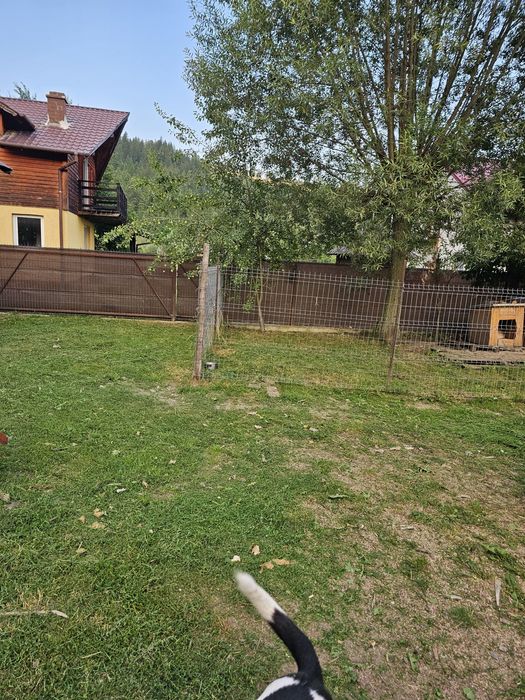 Casa de vânzare în Vama. Județul Suceava