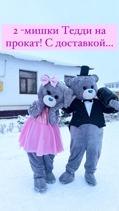 Тедди Мишки на прокат