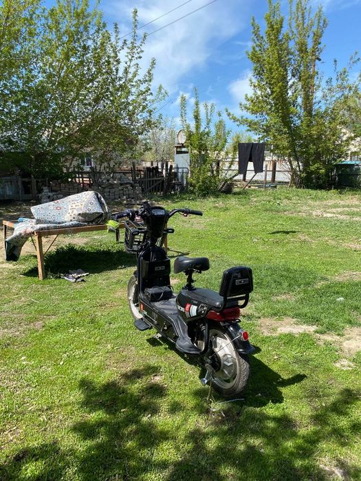 Телефон тағы көреміз