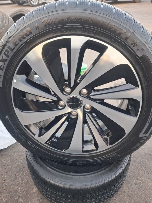 19 buvaydi chepion diska balon