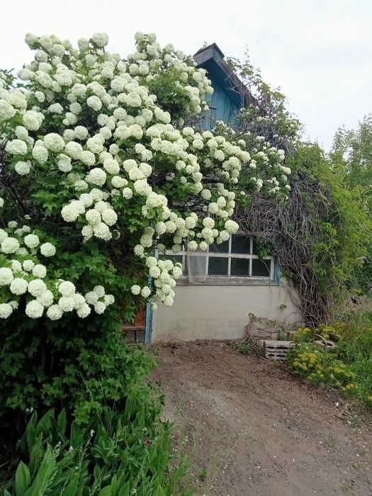 Продам дачу Энтузиаст