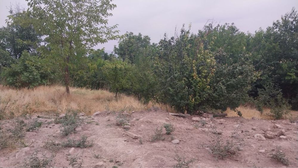 9 sotiq Yer sotiladi йер сотилади