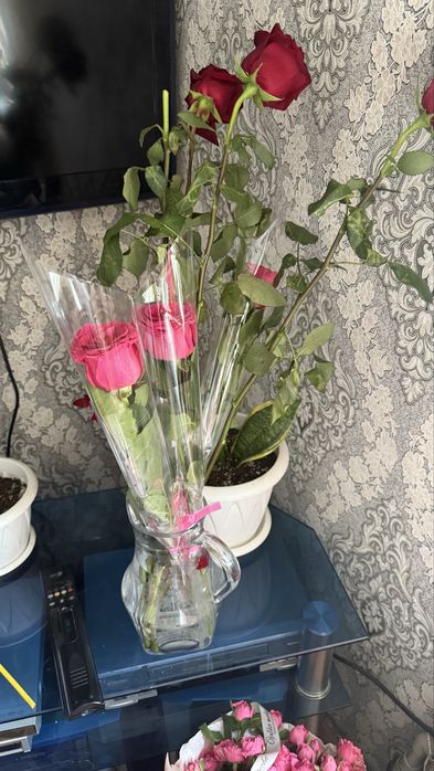 Продам живые  цветы розы