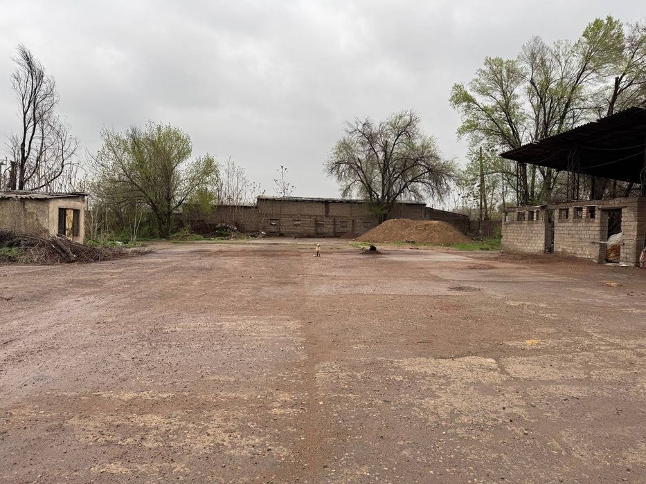 СРОЧНО! Продаётся земля в промзоне г. Алмалык, 81 сотка