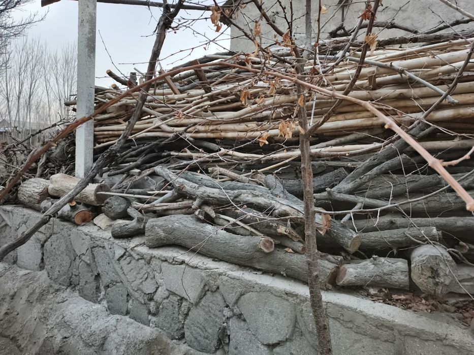 Bir ISUZU yuk moshin o'tin va kunda bor. Narxi 3 mln (bo'lishi shu).