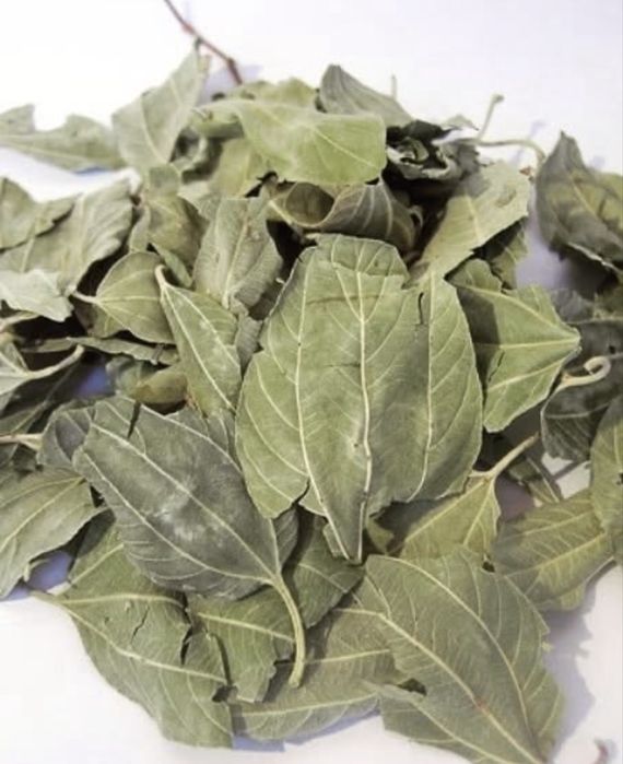 Sidr bargi 100gr