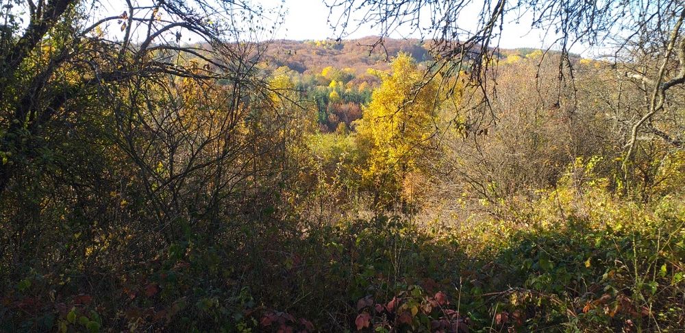 Продава се Парцел в с. Мечковци, Област София-област - 1248 кв.м за 6 €/кв.м - Снимка #5