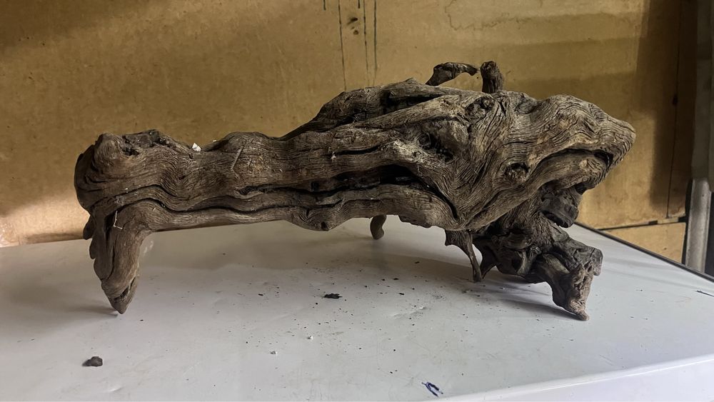 Караяга. Для Акварюма