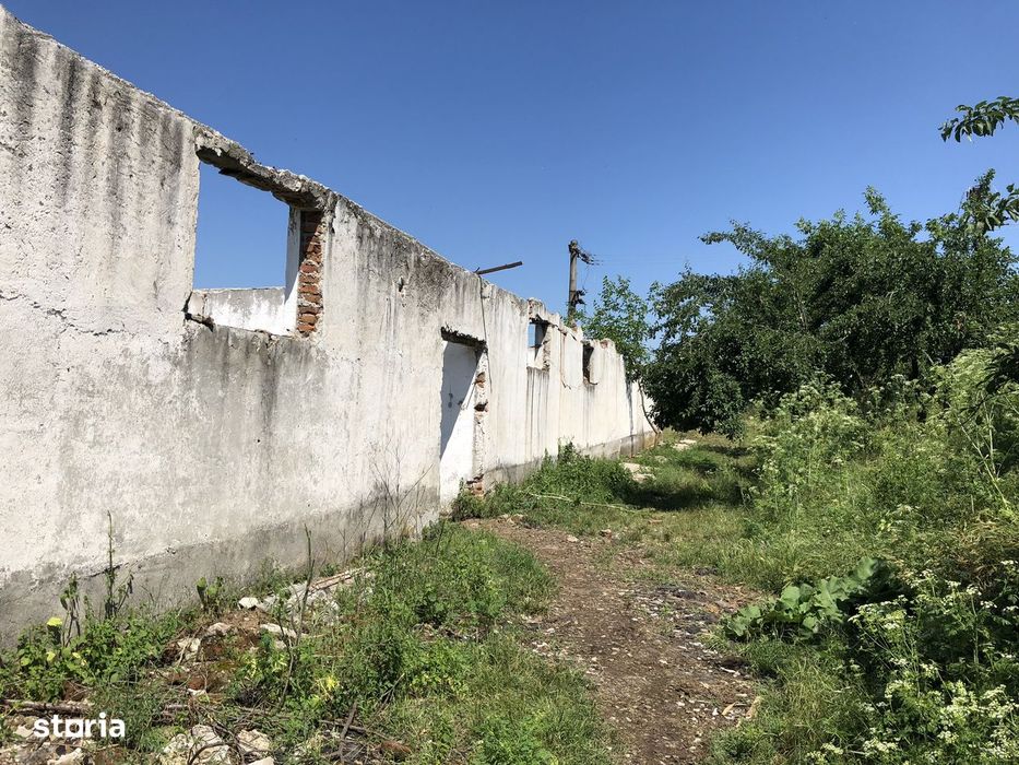 Teren + construcții de vânzare – Rădoiești Cetatea, jud. Teleorman