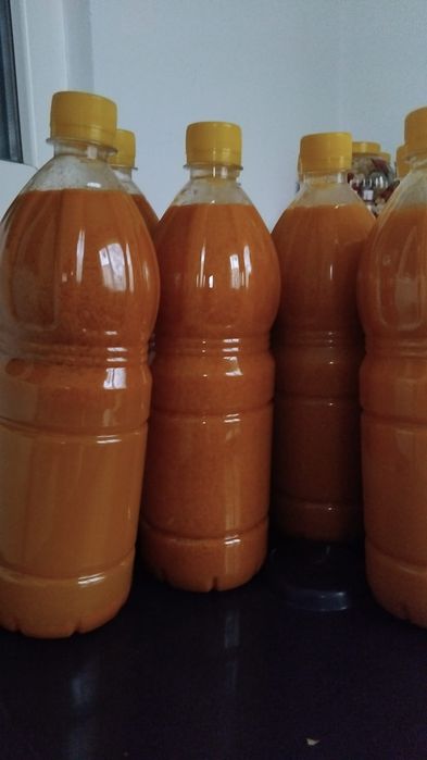 Suc de catina din flora spontana