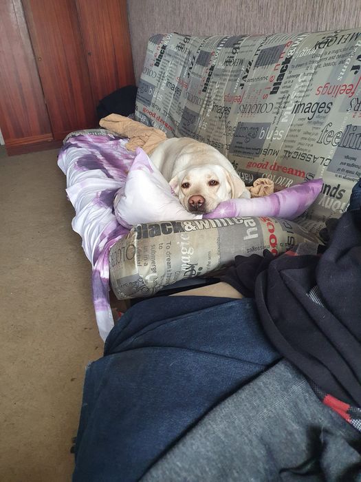 Продам диван раскладной б/у дешево