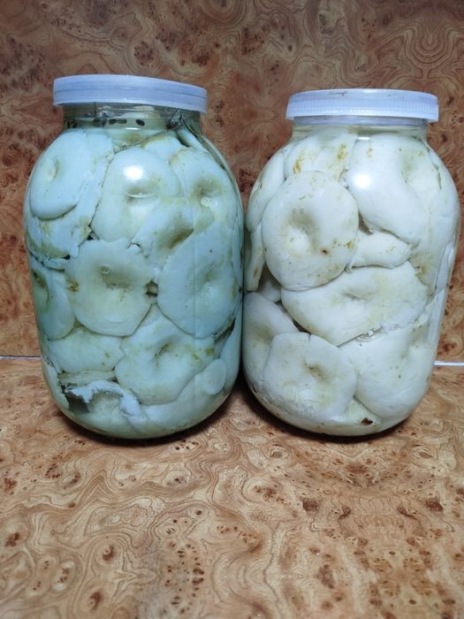 Грузди грузди продам