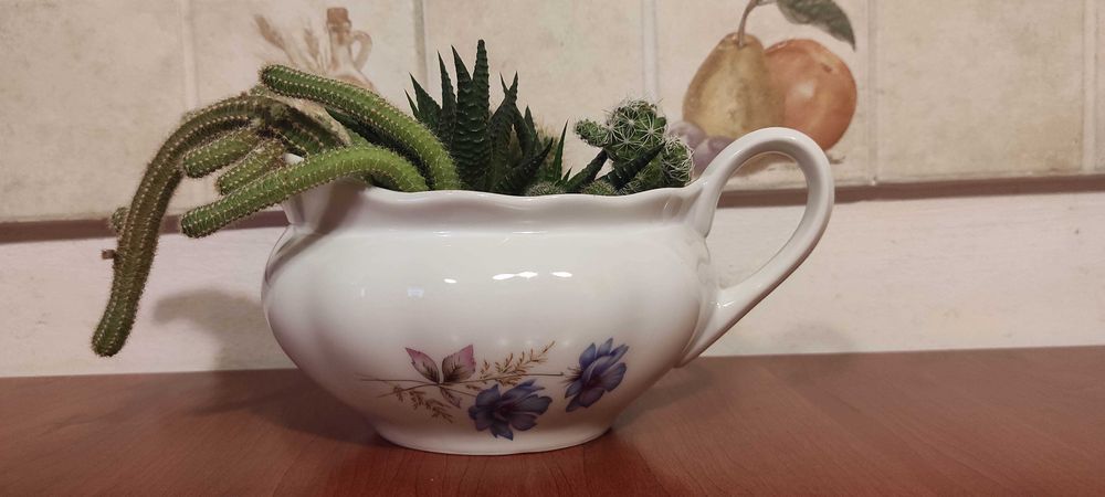 Cactuși in vas ceramica