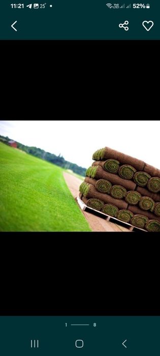 Автополив ва газон.