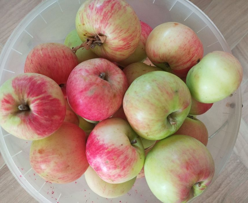Продам  Домашнию Сливу Яблоки