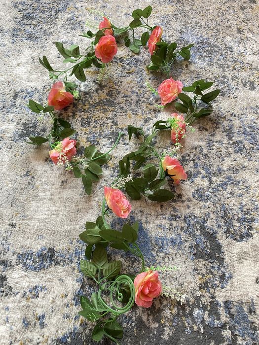 Декоративные цветы