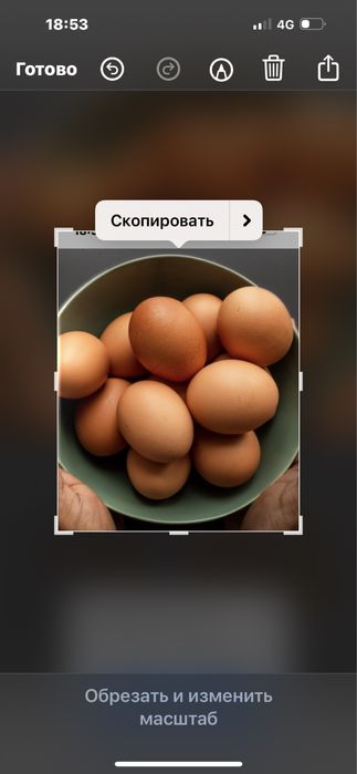 Жұмыртқа сатылады .