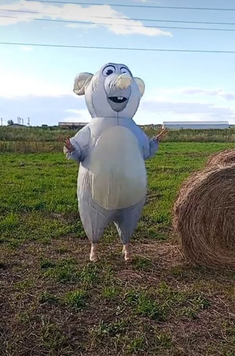 Сдам напрокат костюм крысы