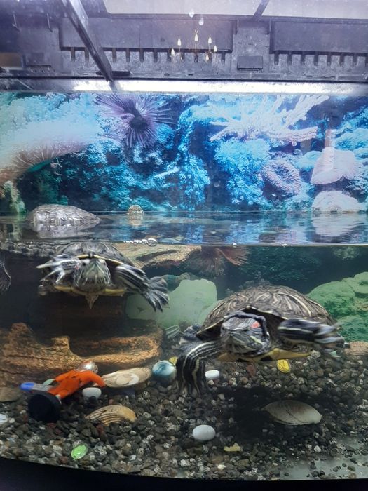 Аквариум с тумбой