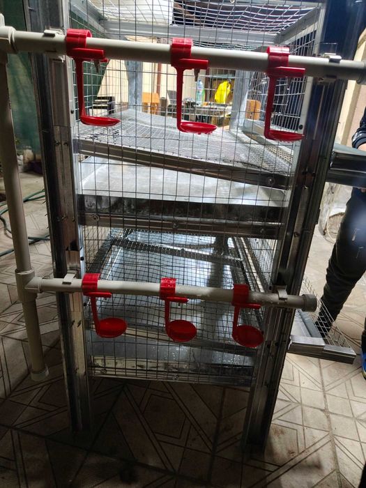 Клетка за пъдпъдъци