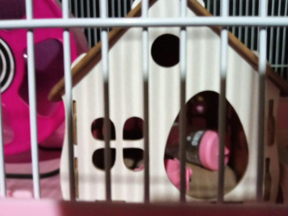 Клетка для хомяка попугаев