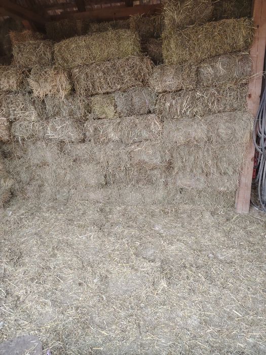 Baloți lucernă și otava