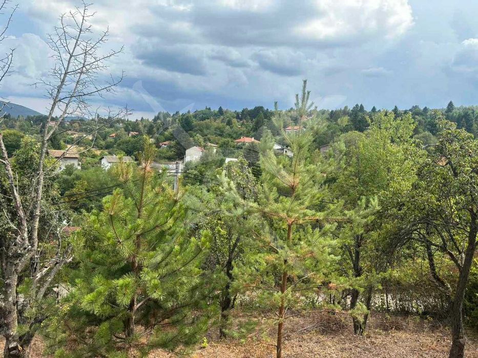 Продава се Парцел в с. Панчарево, Област София-град - 777 кв.м за 132 €/кв.м - Снимка #2