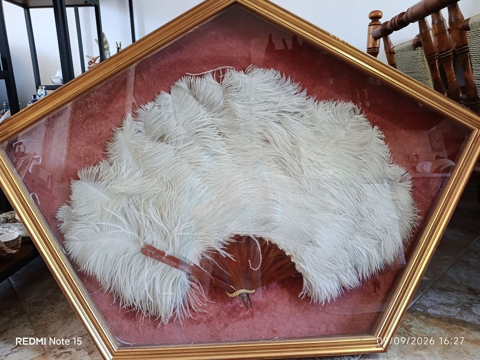 Big antique fan for collector's edition