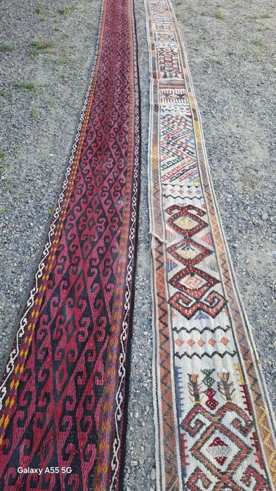 Бау басқұр бау юрта