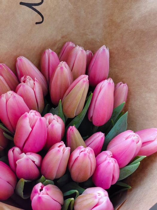 Тюльпаны оптом и в розницу Алматы